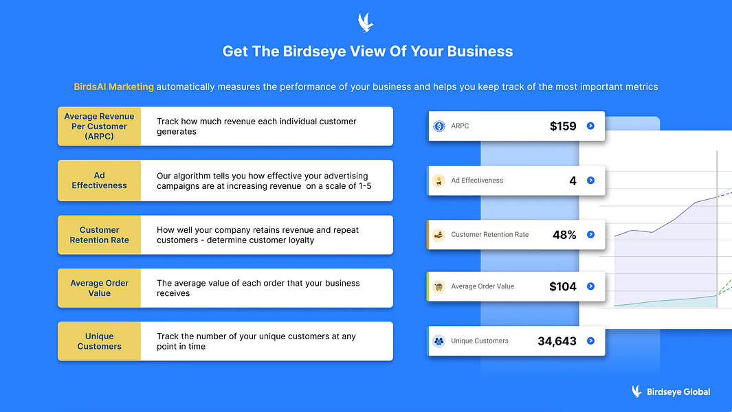 BirdsAI Marketing