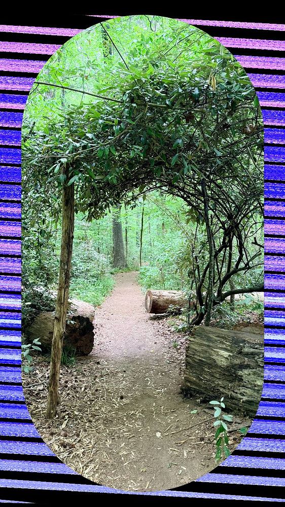 An individual runs on a rugged trail through dense forest trees during autumn.