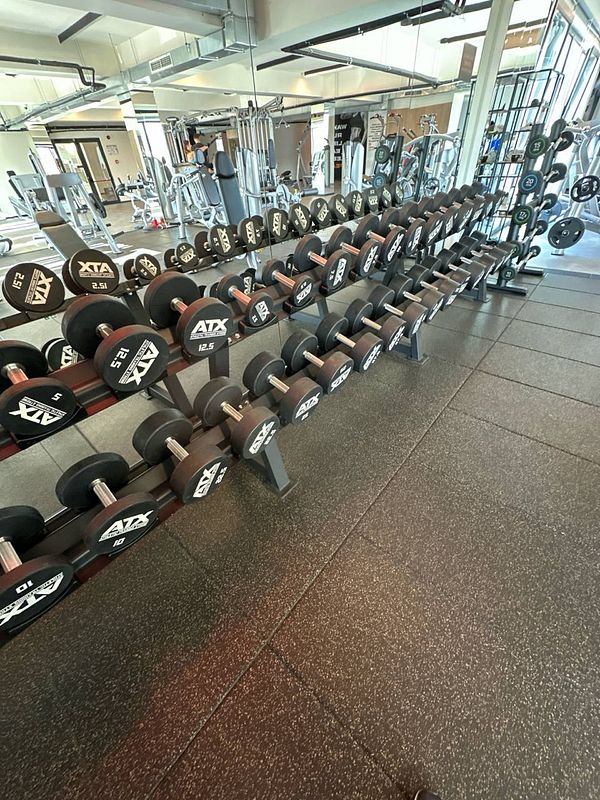A well-equipped gym area featuring a row of dumbbells on a rack.