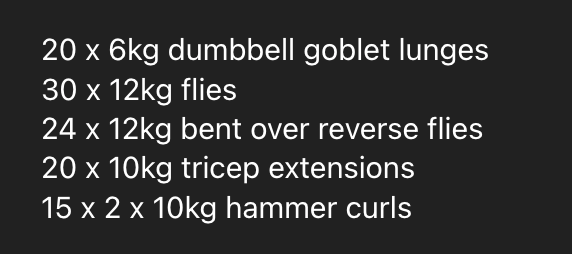 A workout plan for a home gym session is displayed in a clean, minimalist format.