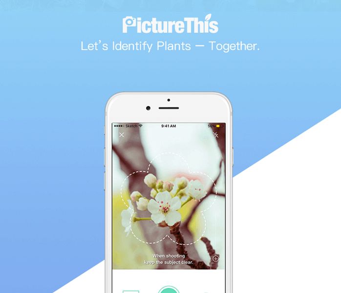 PictureThis