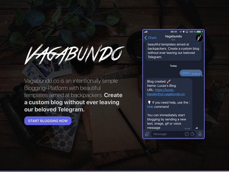 Vagabundo