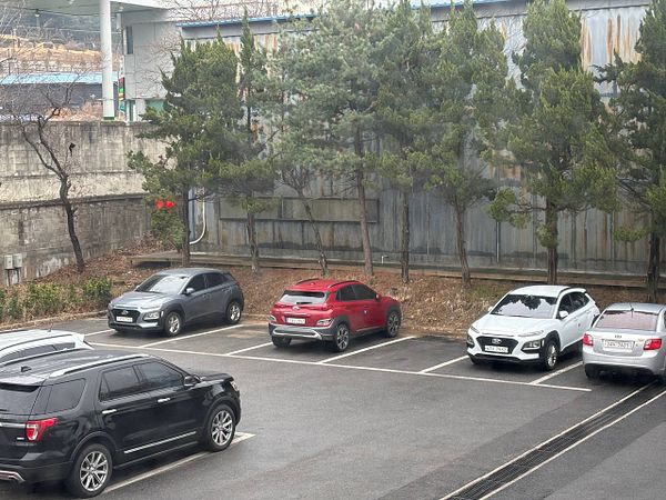 Colorful illustrated silhouette of a car ride with four friends inside, each visible through separate car window sections.