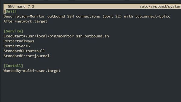 The image displays a configuration file for a systemd service in a text editor.
