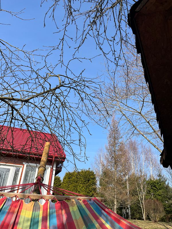 A colorful hammock is set against a clear blue sky and a backdrop of trees and a house.