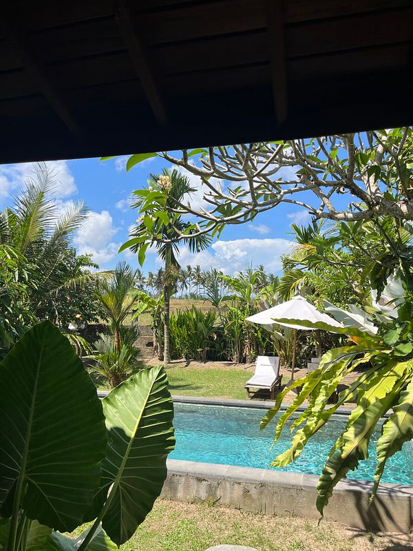 A serene outdoor view featuring a swimming pool surrounded by lush greenery and a clear blue sky.
