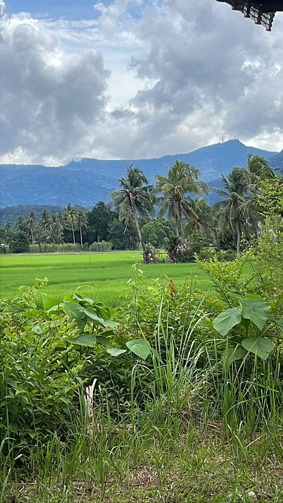 A scenic view of a lush green landscape with mountains in the background.