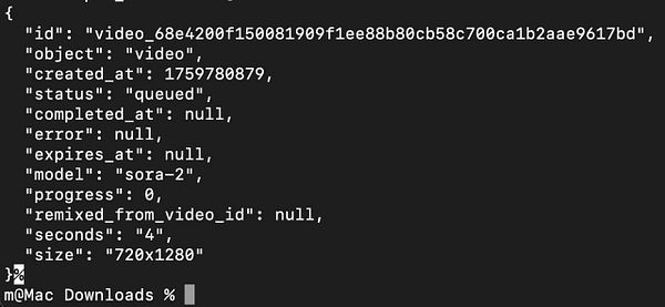 The image displays a terminal window showing JSON data related to a video processing task.
