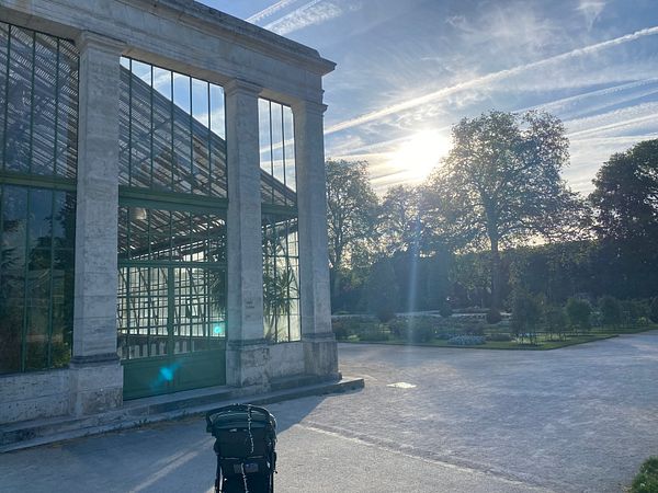 A person running on a misty trail surrounded by trees in early morning light.
