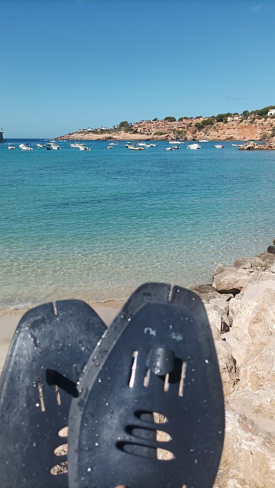 A pair of black swim fins rests on a rocky beach with a clear blue sea in the background.