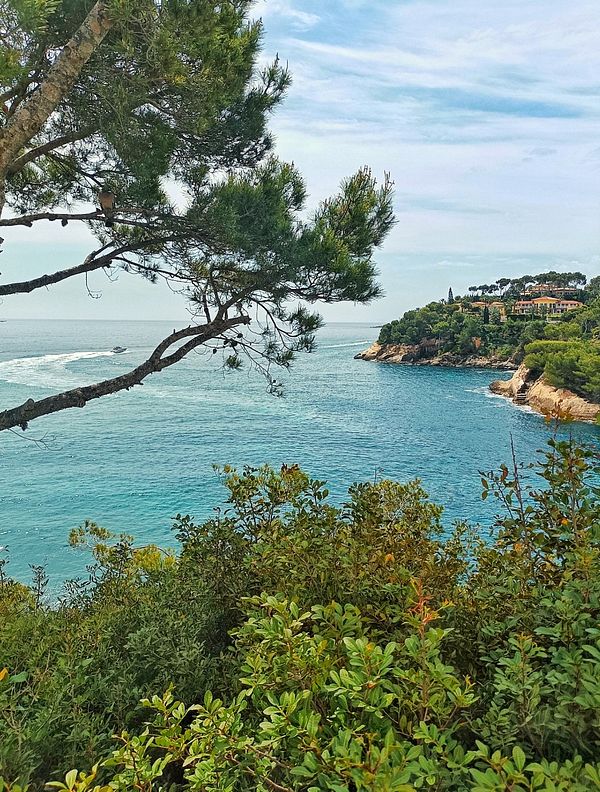 A scenic coastal view featuring lush greenery and a tranquil sea.