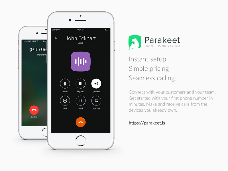 Parakeet