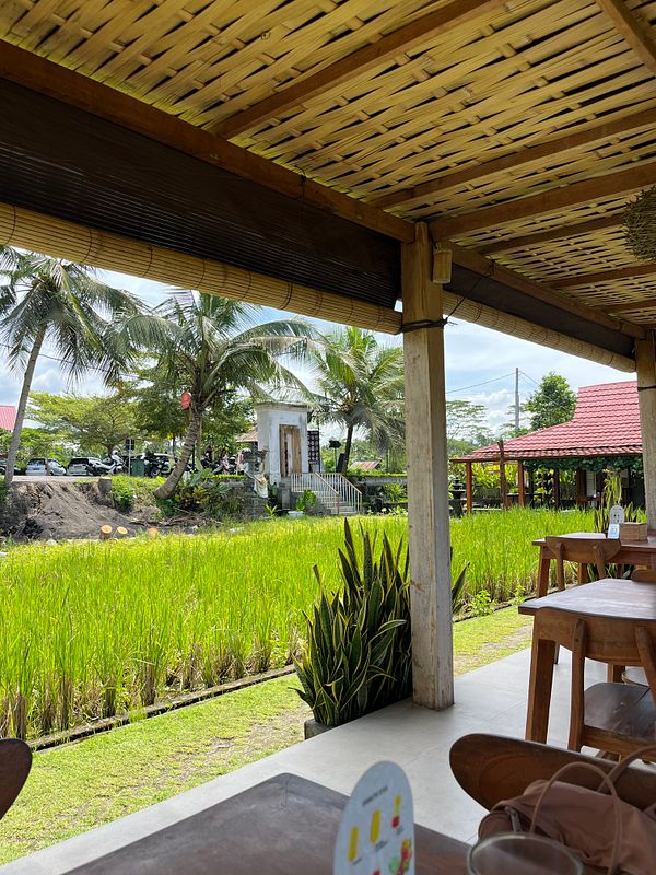 A serene view from a restaurant overlooking lush rice fields in Ubud.