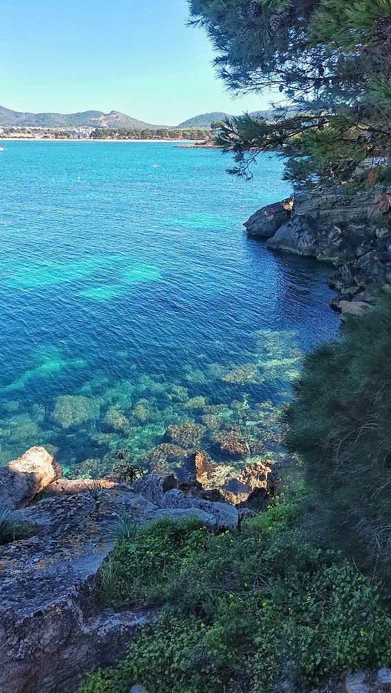Couple walking hand-in-hand on a forest path during autumn.