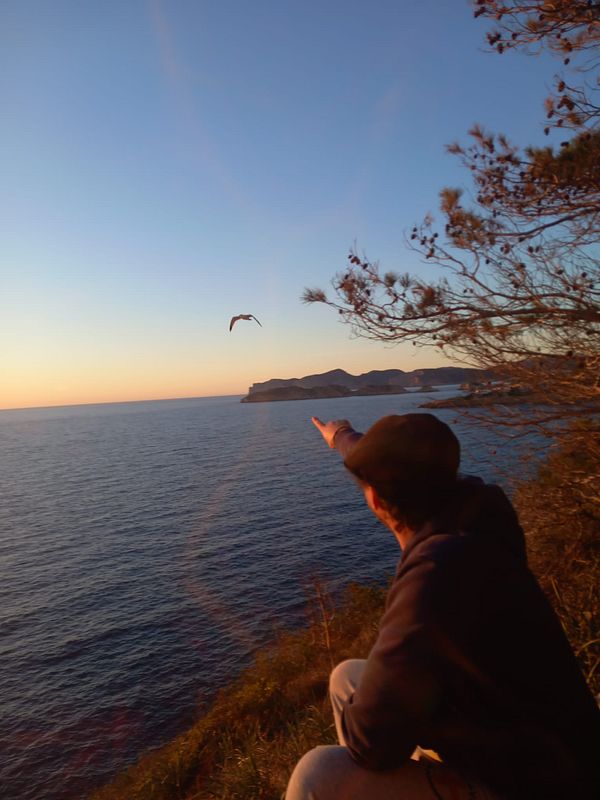 A person is pointing towards the ocean during sunset, with a bird flying in the sky.