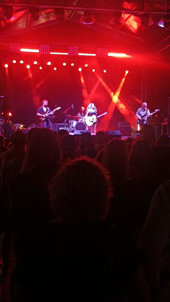 A live concert performance featuring a band on stage with vibrant lighting.