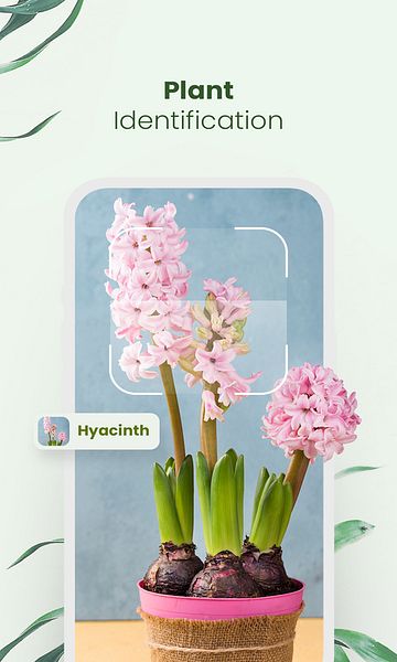 Plantora- Plant Identify, Care