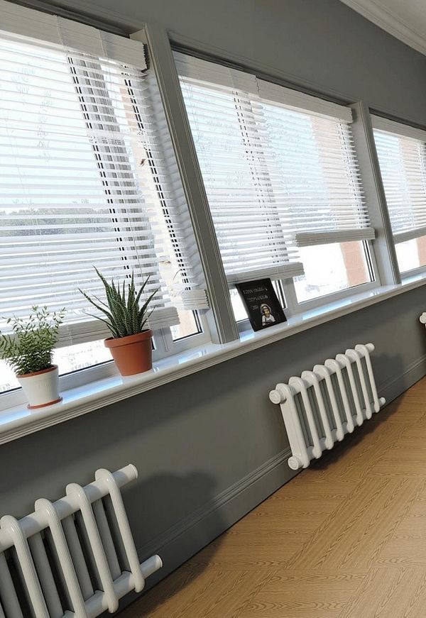 A well-lit interior space featuring large windows with blinds, potted plants, and white radiators along the wall.