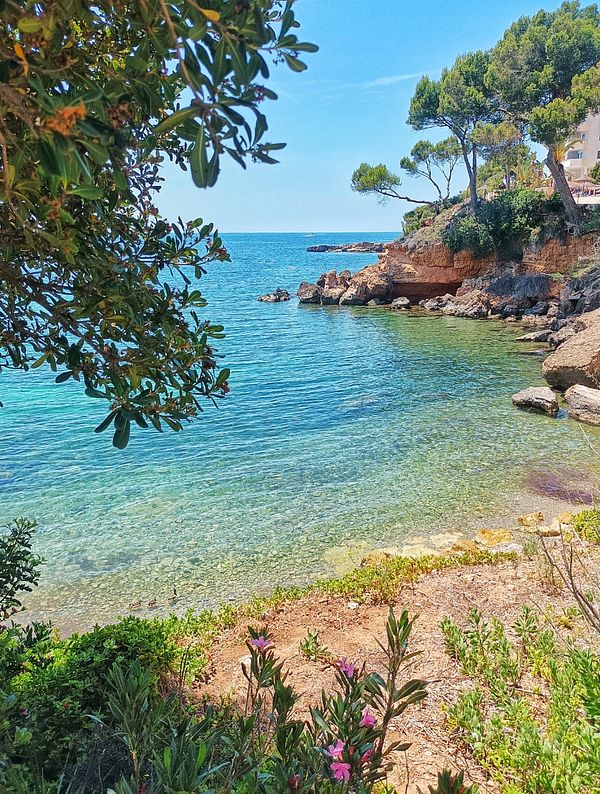 A serene coastal scene featuring clear blue water and lush greenery.