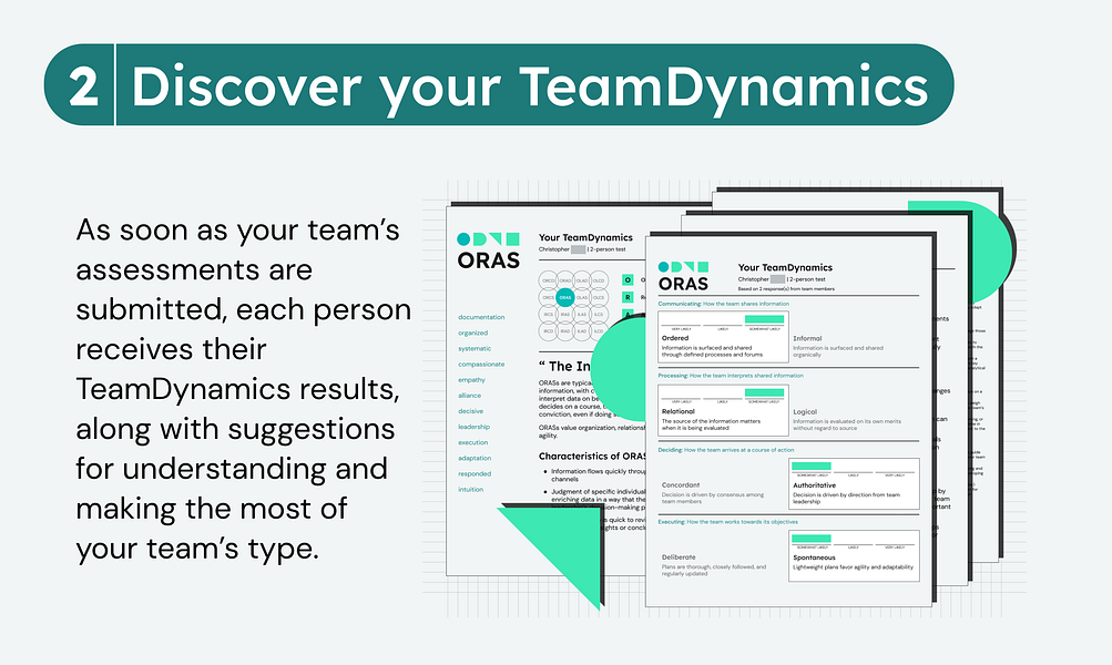 TeamDynamics