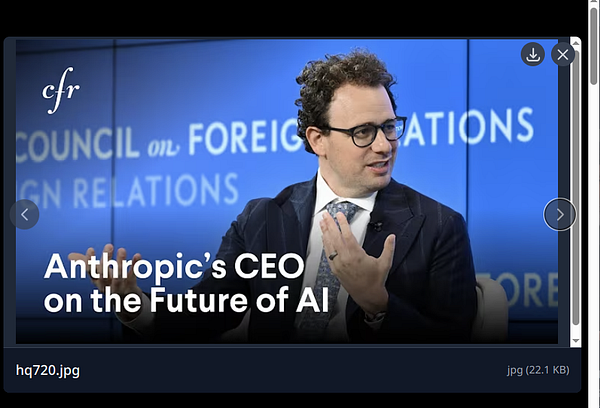 A man discusses the future of AI at a Council on Foreign Relations event.