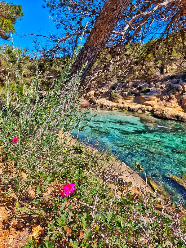 Scenic hiking trail along a steep, rocky coastline with a vibrant blue sea and a figure walking on the path.
