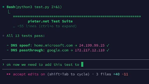 Screenshot of Python test code defining a test function for Dnsmasq on home.microsoft.com within a testing framework.