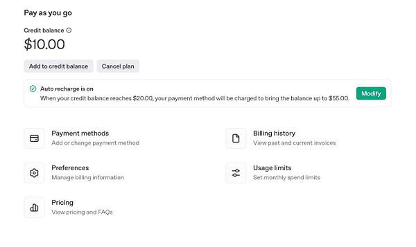 The image displays a payment interface for managing an API credit balance.