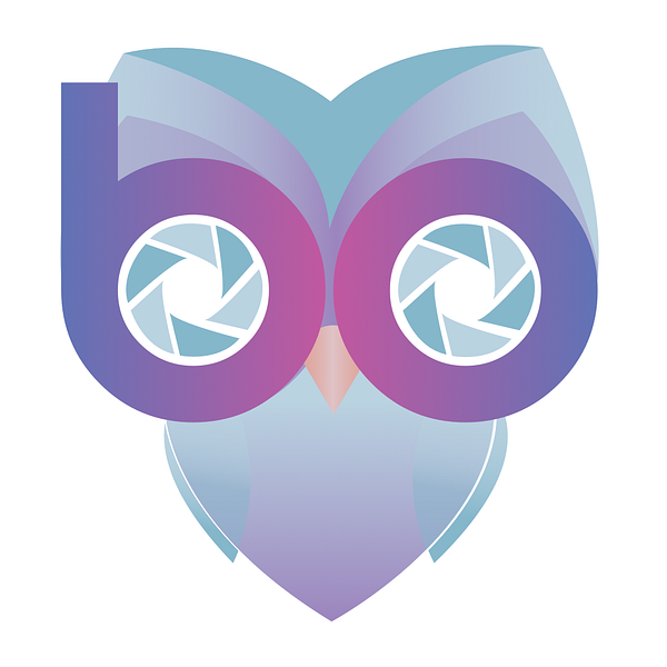 Bubo - AR Social Network