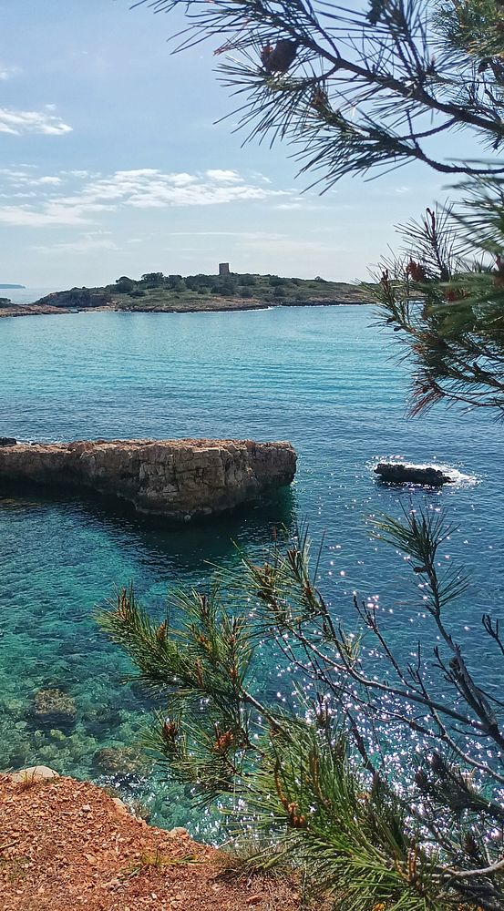 Scenic hiking trail with lush green trees on both sides and a cloudy sky above.
