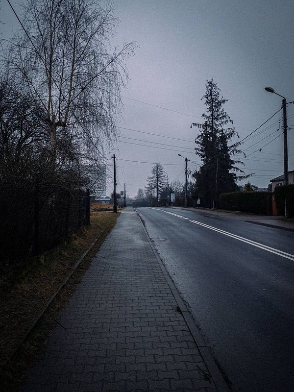 A quiet, overcast street scene during a morning walk.