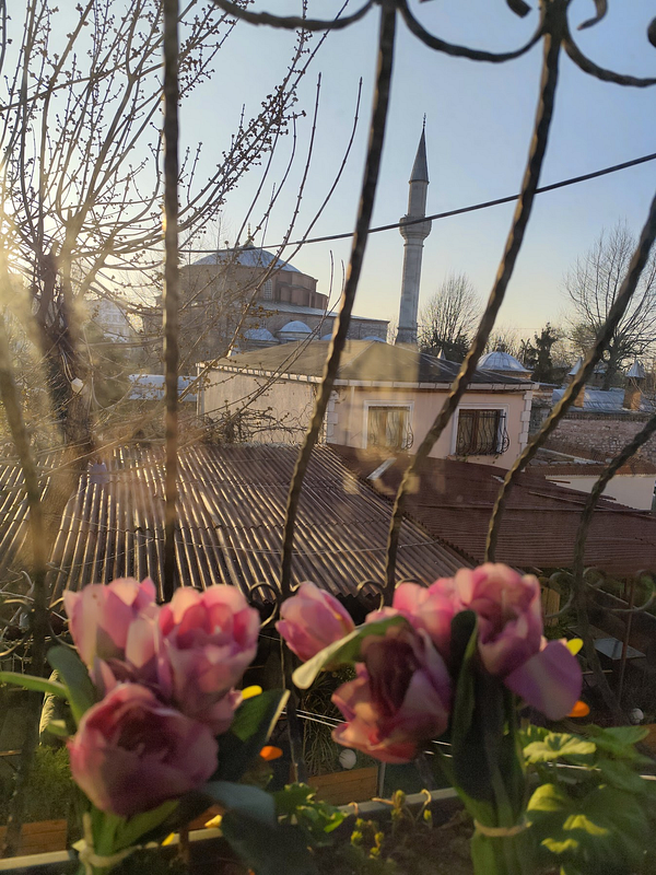 A picturesque view of Istanbul at sunrise, framed by flowers and a decorative window grill.