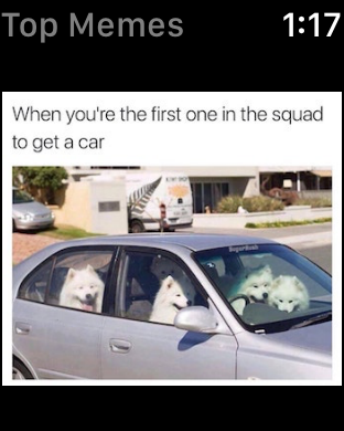 Memeois