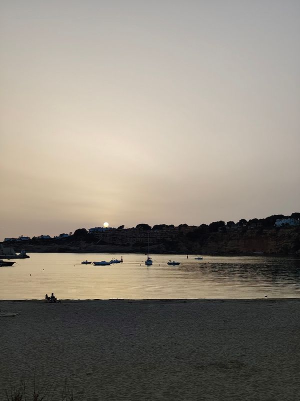 A vibrant sunset with prominent silhouetted palm trees and a colorful sky over a beach scene.