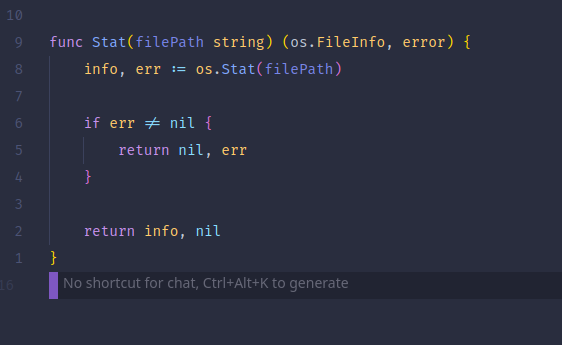 The image displays a code snippet written in Go programming language that defines a function to retrieve file information using os.Stat.