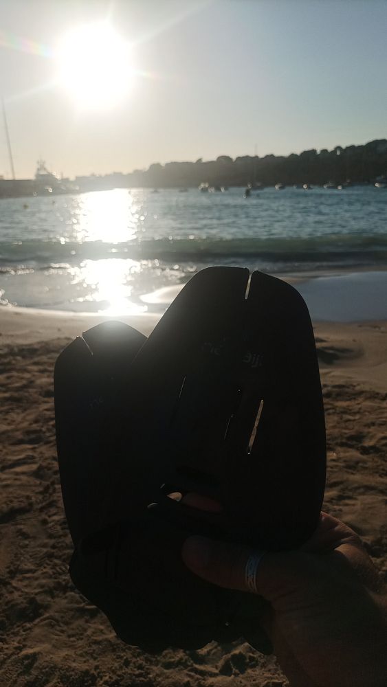 A person holds a pair of swim fins against a backdrop of a sunlit beach and water.