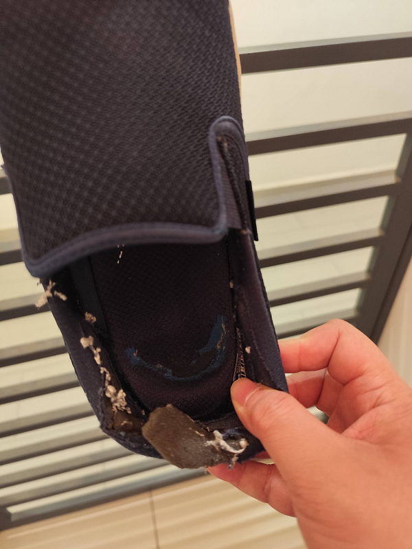 A worn-out shoe is being held, showing significant damage after extensive use.