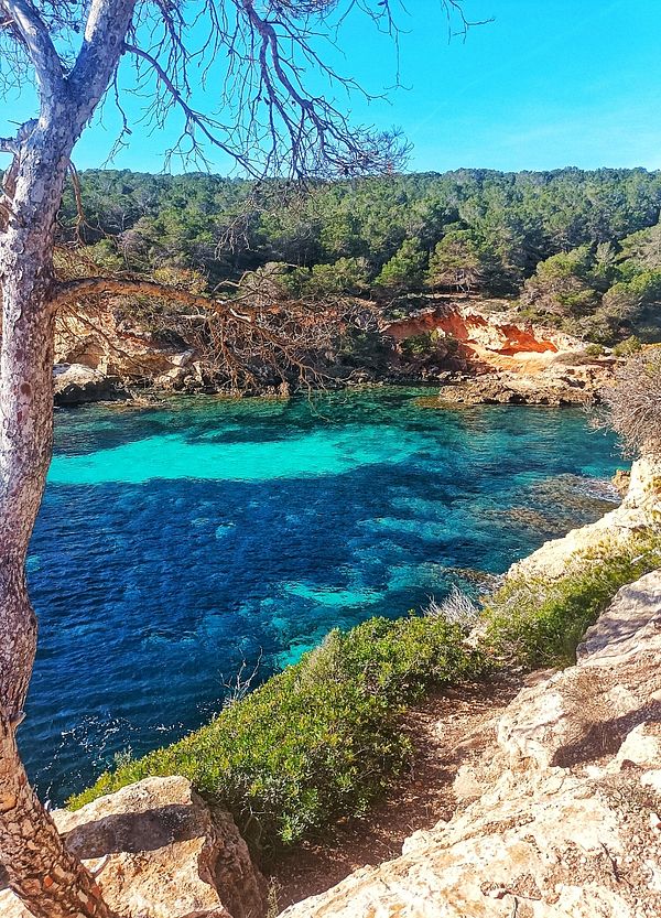 A scenic view of a turquoise bay surrounded by lush greenery and rocky cliffs.