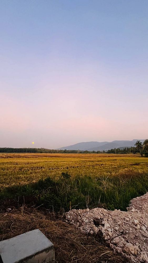 A mobile app interface displaying a buyer detail screen with options for setting budget, payment method, and a large 'BUYER DETAIL' title.