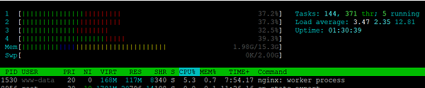 The image displays a terminal interface showing system resource usage and running processes.