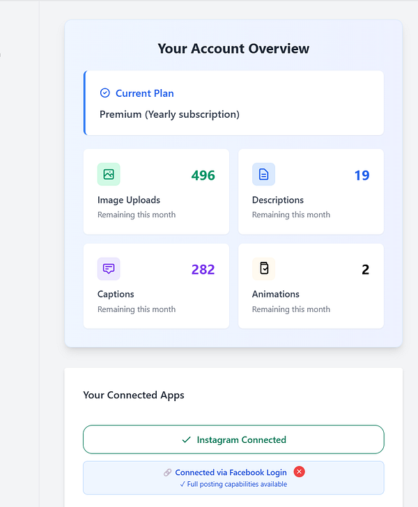 The image displays an account overview dashboard with subscription details and usage statistics.