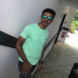 Hari