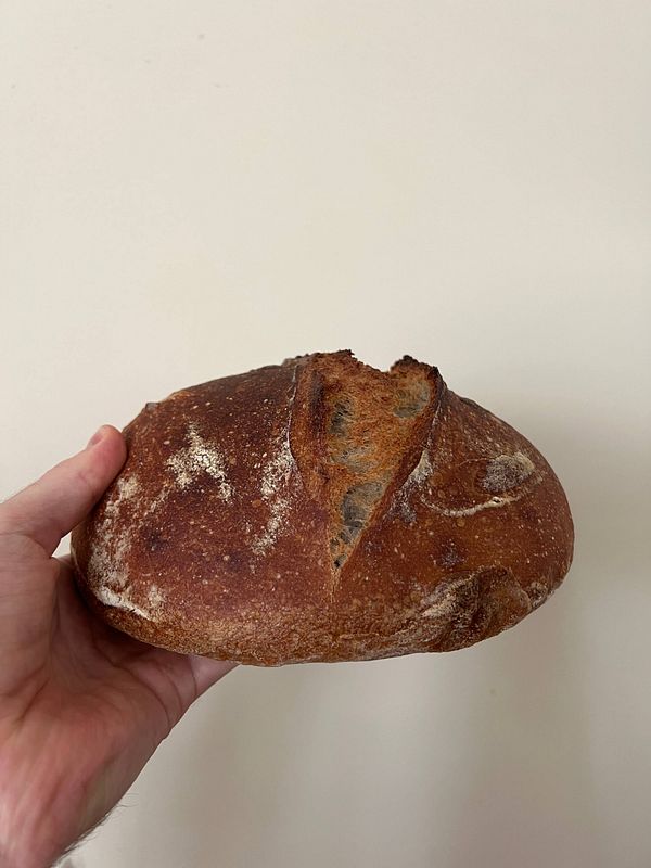 A hand holds a round loaf of bread against a plain background.