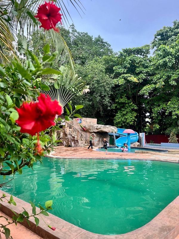 A vibrant pool area surrounded by lush greenery and colorful flowers.
