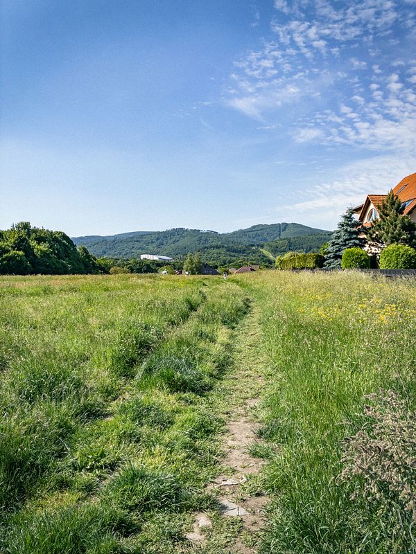 A landscape photo of a grassy path by water with trees and a blue sky.
