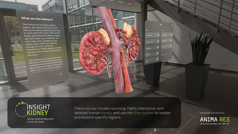 Screenshot of INSIGHT KIDNEY