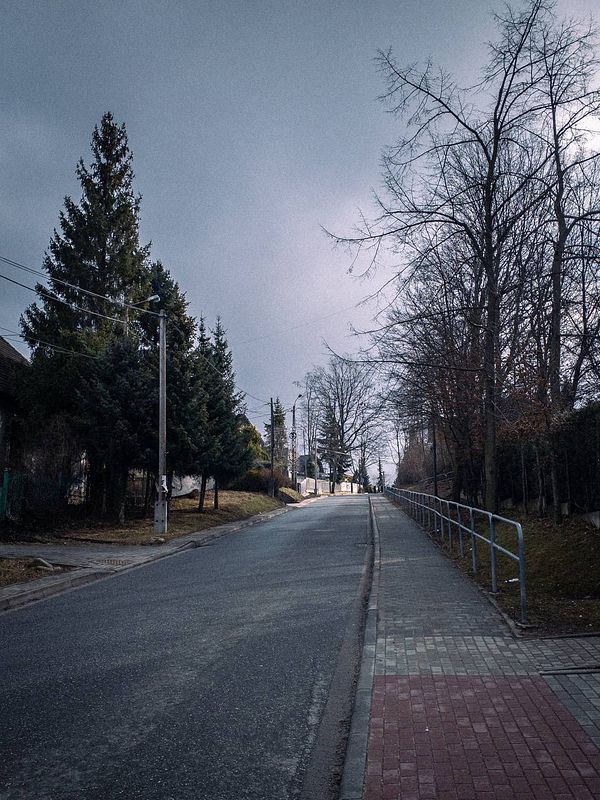 A quiet, tree-lined street on an overcast day.