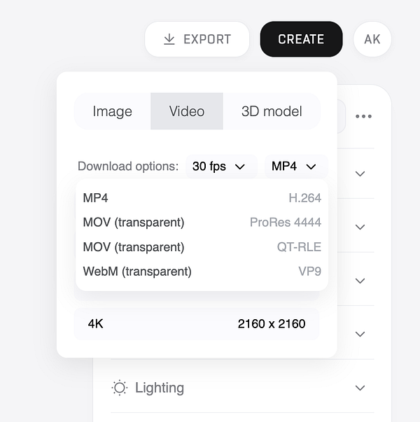 The image displays a user interface for video export options in a software application.
