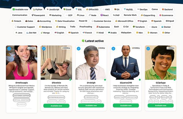 The image displays a user interface showcasing profiles of remote workers with their details and skills.