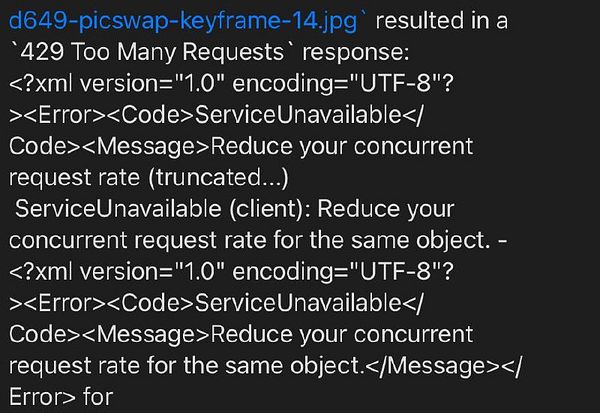 The image displays an error message related to a race condition overload when processing requests for training pictures from a ZIP file.